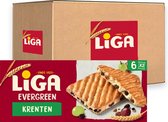 LiGA EverGreen Koekjes Krenten - Doos 12 x 225g - Koek - Koeken voor Onderweg of Werk en Kantoor