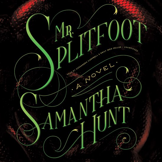 Mr. Splitfoot - cover