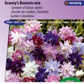 Sluis Garden - Akelei Granny's Bonnets Mix (Aquilegia vulgaris)
