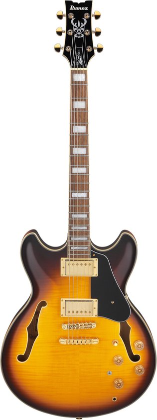 Ibanez AS John Scofield JSM10EM-TTB Two-Tone Burst – Semi-akoestische gitaar