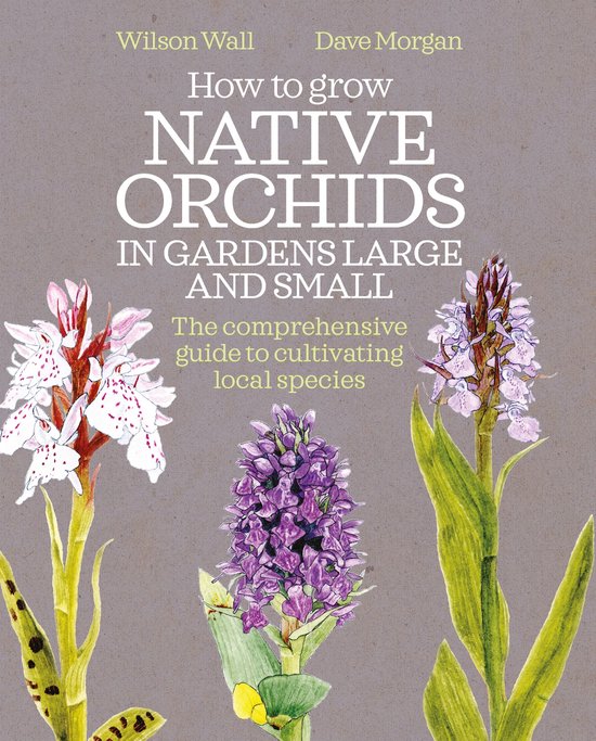 How to Grow Native Orchids in Gardens Large and Small - cover