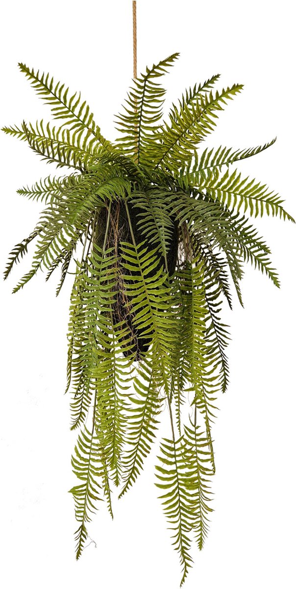 Kunst Kokedama Hangvaren – 100 cm – Grote Kunst Hangplant - Kunst Varen Hangplant