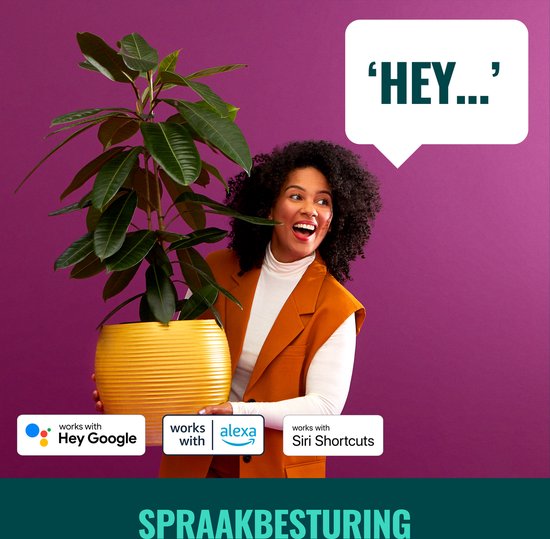 WiZ Outdoor Ground Spot Zwart - Kit d'extension - Smart LED- Siècle des Lumières - Lumière colorée et Wit - 12V