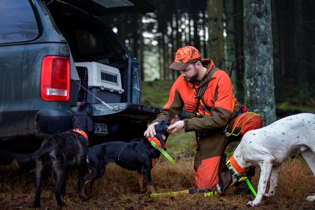 Härkila Wildboar Pro trousers Oranje