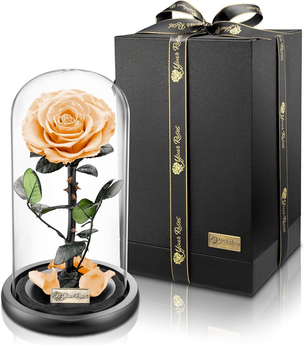 Echte Roos in Glas met Geschenkdoos - Cadeau Liefde & Romantiek voor Valentijnsdag of Jubileum