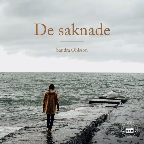 De saknade - cover