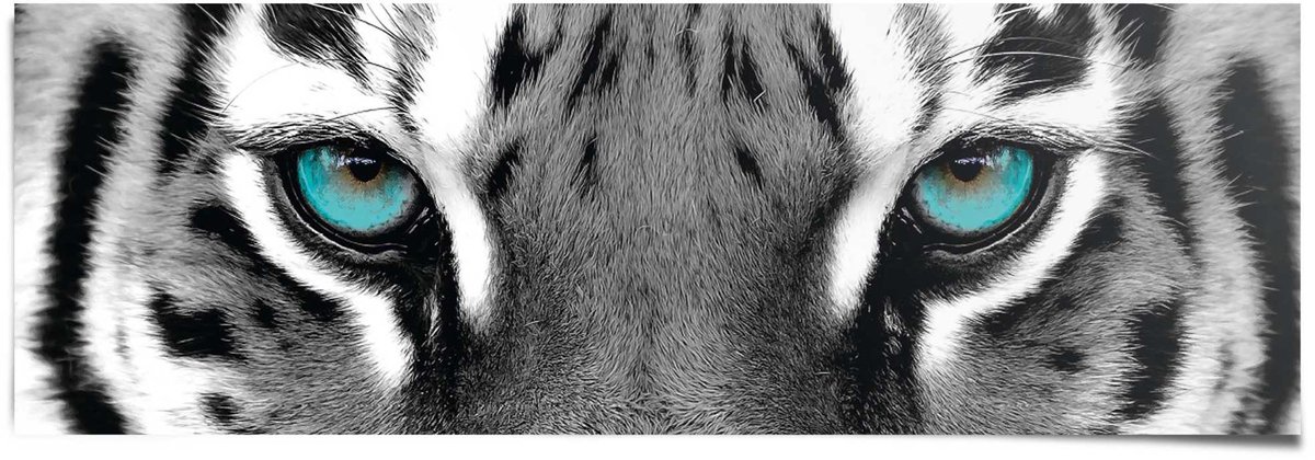 REINDERS Poster Siberische Tijger - 53 x 158 - Papier - REINDERS Zwart-Wit