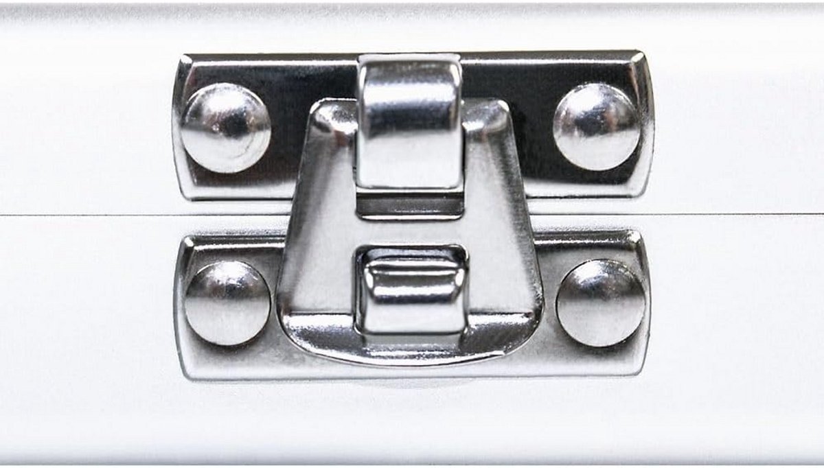 Muntcassette Aluminium voor 20 Muntcassettes 50x50 mm