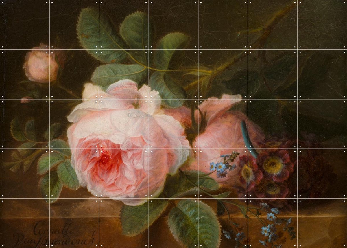 IXXI Koolroos, Gerard van Spaendonck & Het Noordbrabants Museum - 140 x 100 cm - Gratis ophangtool - Grote wanddecoratie en posters - Naturalisme