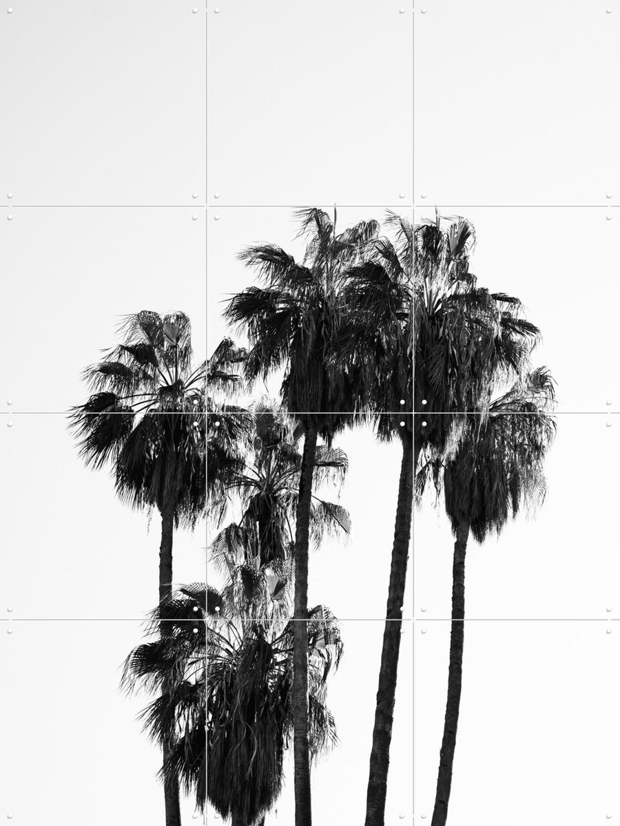 IXXI Palms in the Wind, Henrike Schenk - 60 x 80 cm - Gratis ophangtool - Grote wanddecoratie en posters - Fotografie, Minimalisme, Woonkamer, Gang