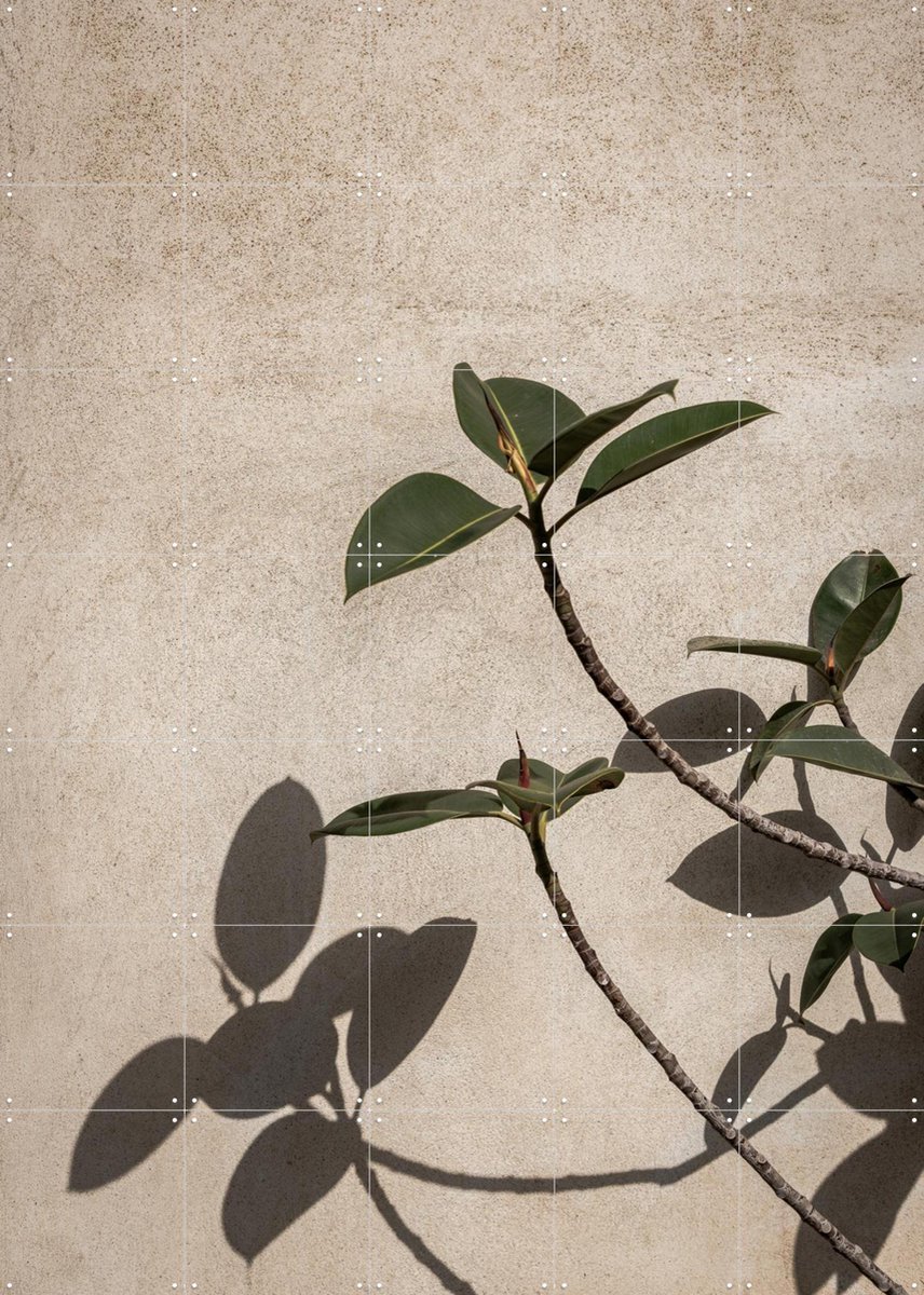 IXXI Shadow of Plant, Photolovers - 100 x 140 cm - Gratis ophangtool - Grote wanddecoratie en posters - Minimalisme, Fotografie, Slaapkamer