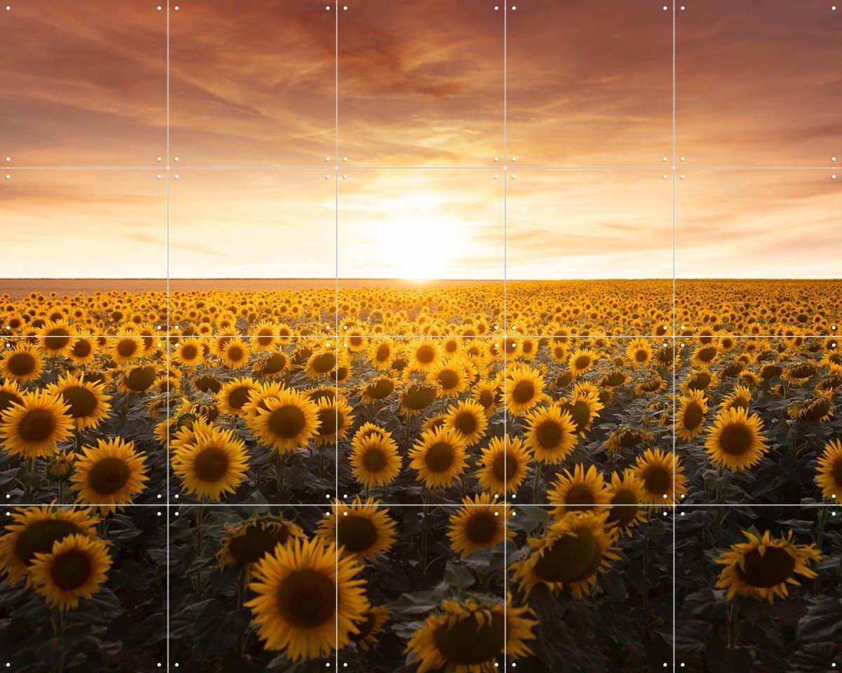 IXXI Sunflower Sunrise France, Claire Droppert - 100 x 80 cm - Gratis ophangtool - Grote wanddecoratie en posters - Impressionisme, Realisme
