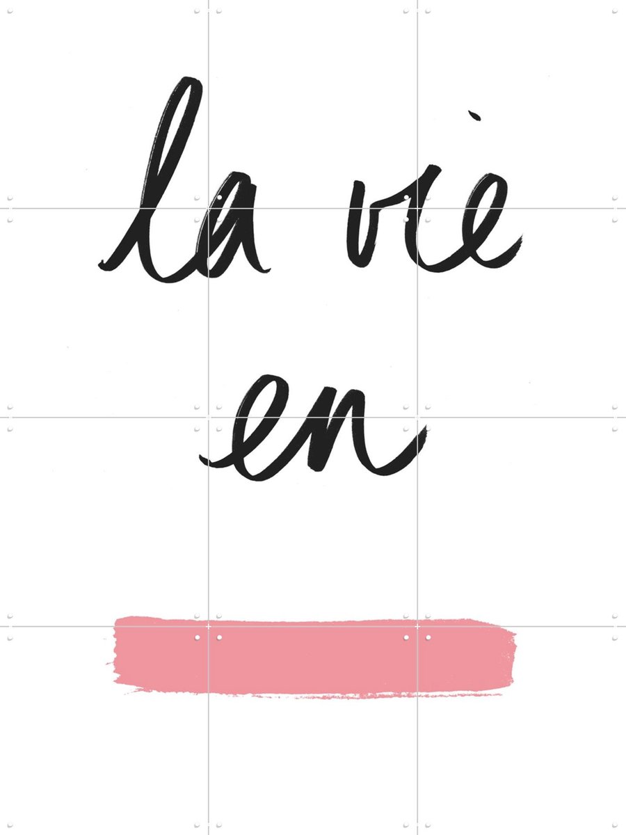 IXXI La Vie en Rose, Florent Bodart - 60 x 80 cm - Gratis ophangtool - Grote wanddecoratie en posters - Typografie, Grafisch Ontwerp, Minimalisme