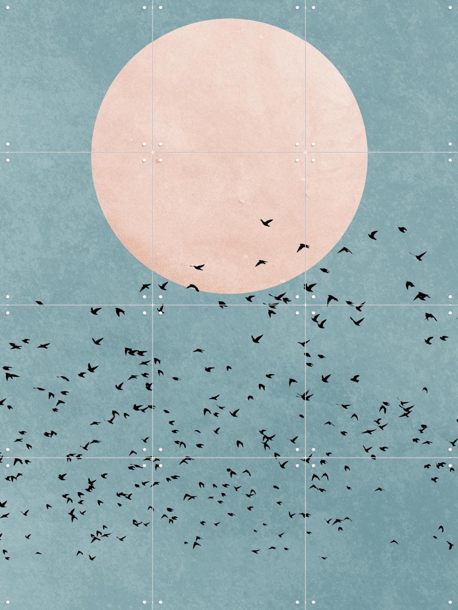 IXXI Fly Away, Kubistika - 60 x 80 cm - Gratis ophangtool - Grote wanddecoratie en posters - Minimalisme, Grafisch Ontwerp, Abstract, Slaapkamer