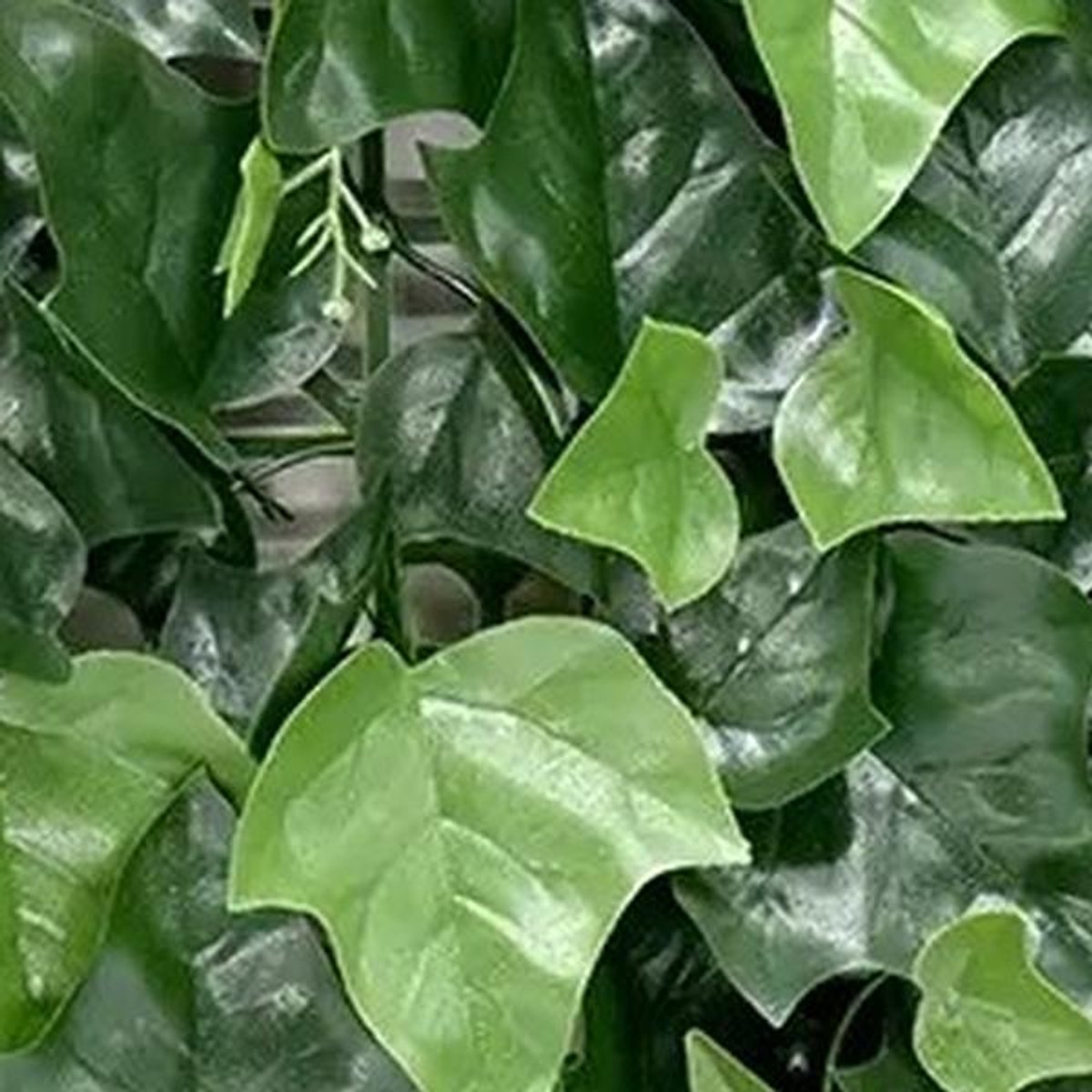 Buitengewoon Boet Kunstplanten mat 50x50 cm hedera mix Buitengewoon de Boet groen