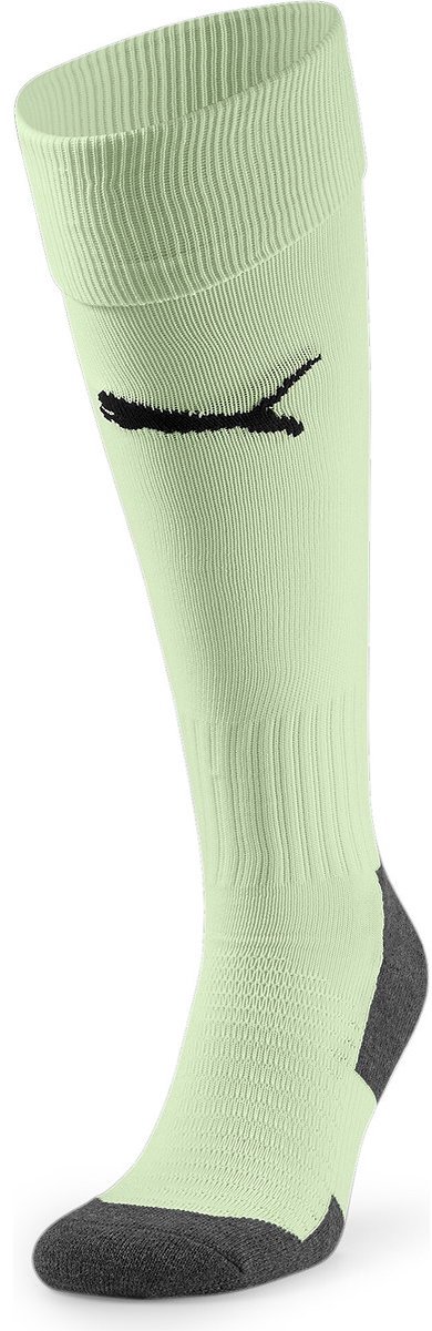 Puma Teamliga Voetbalkousen - Munt | Maat: 31-34