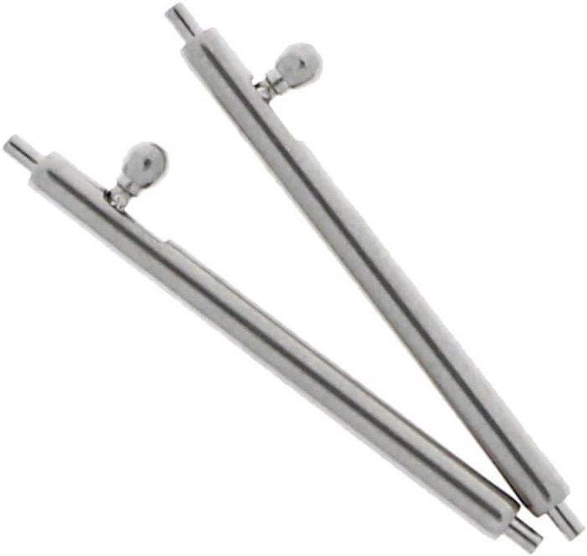 Horlogeband Veerpennetjes Roestvrij Staal 20 mm Set van 2