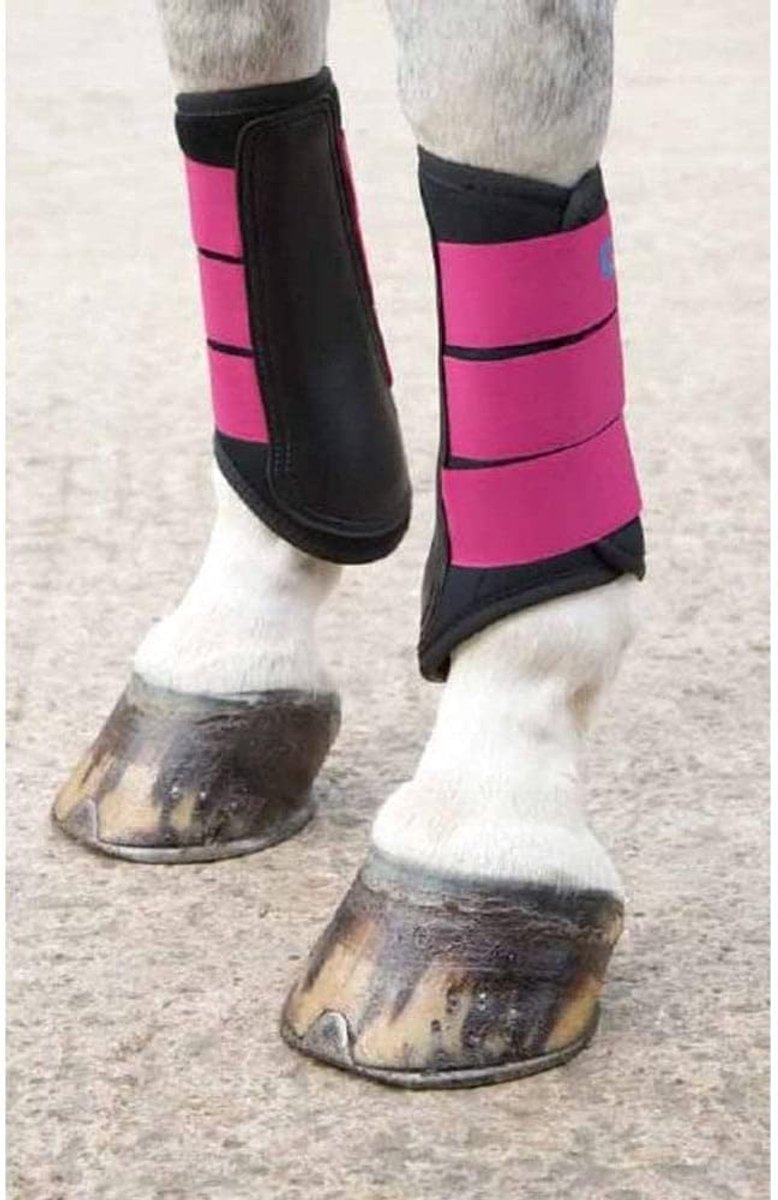 Paarden Borstbeschermers - Neopreen Beenbeschermers - Dagelijks Gebruik - Voorgevormde Stootpads - Volledige Maat - Raspberry