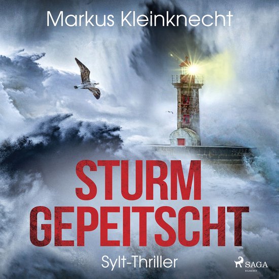 Sturmgepeitscht: Sylt-Thriller - cover