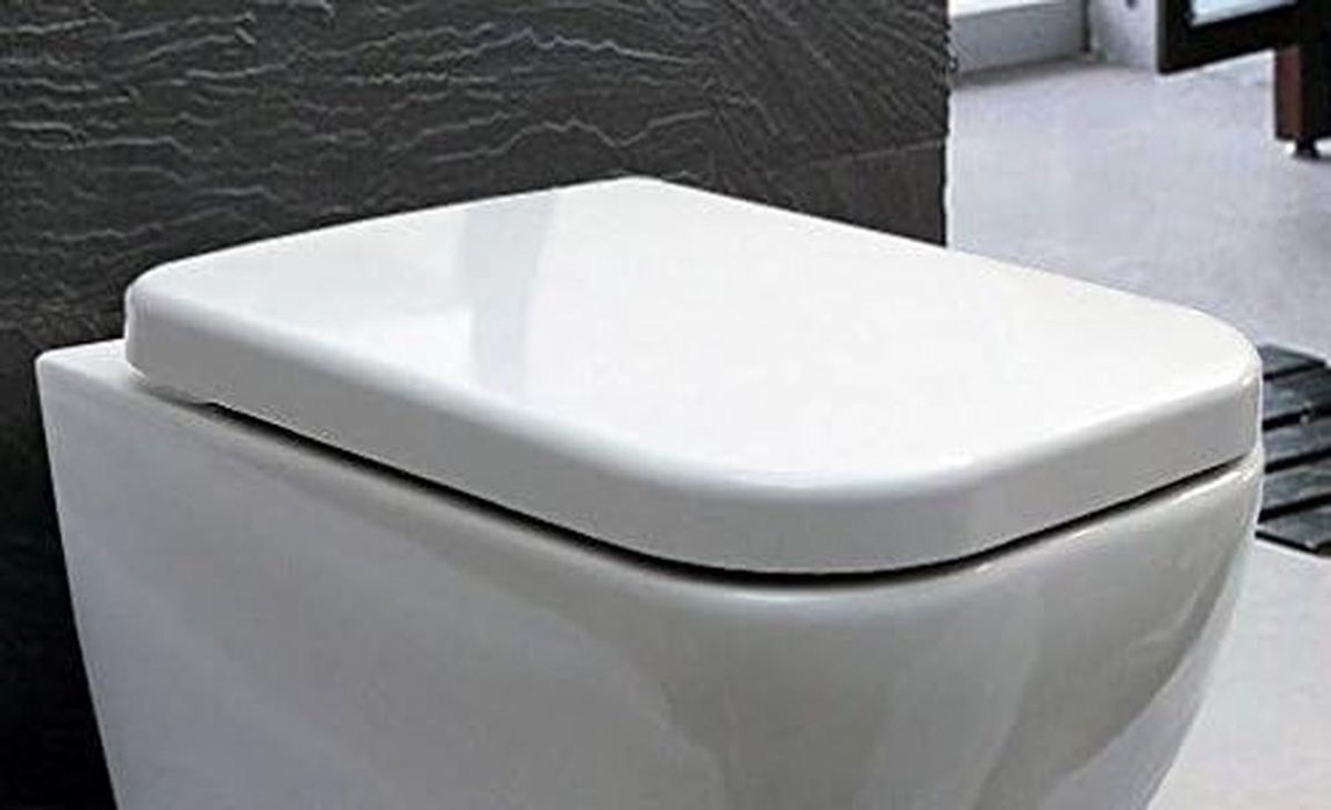 Toiletbril Vervanging - WC Deksel - Badkamer Vernieuwing - Soft Close Functie - 44 x 8 cm