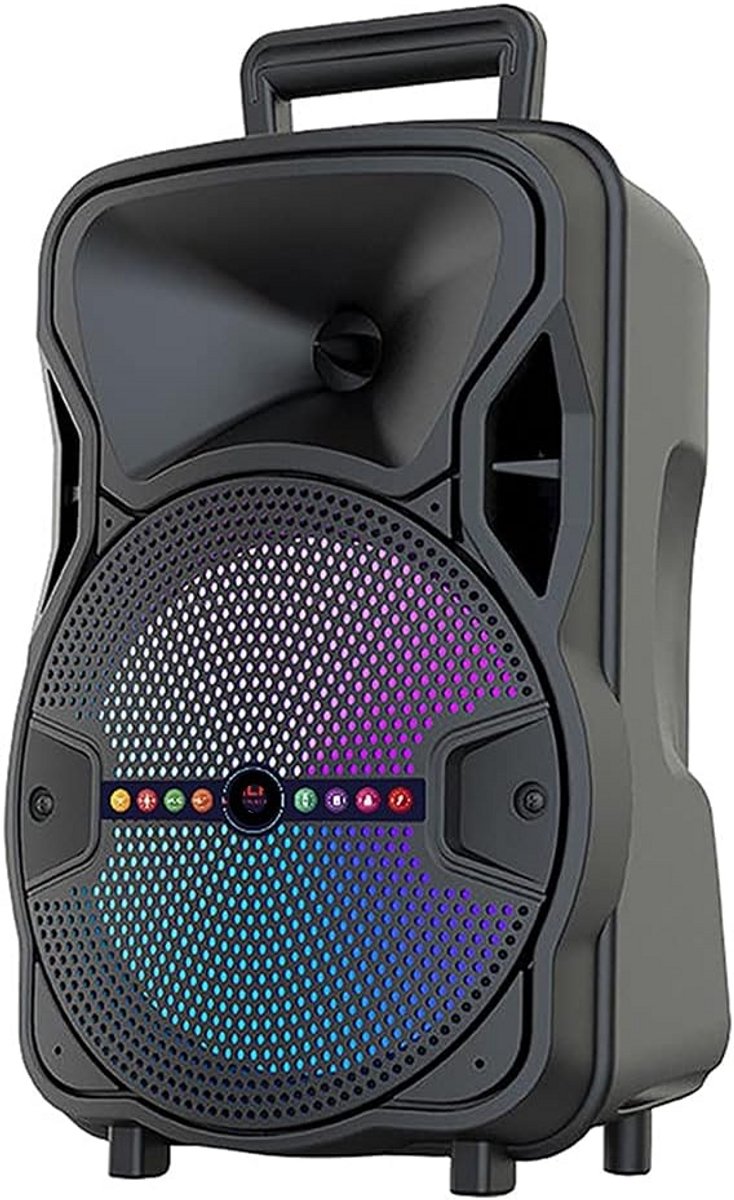 Draagbare Karaoke Bluetooth Speaker met FM Radio en RGB Lichteffecten