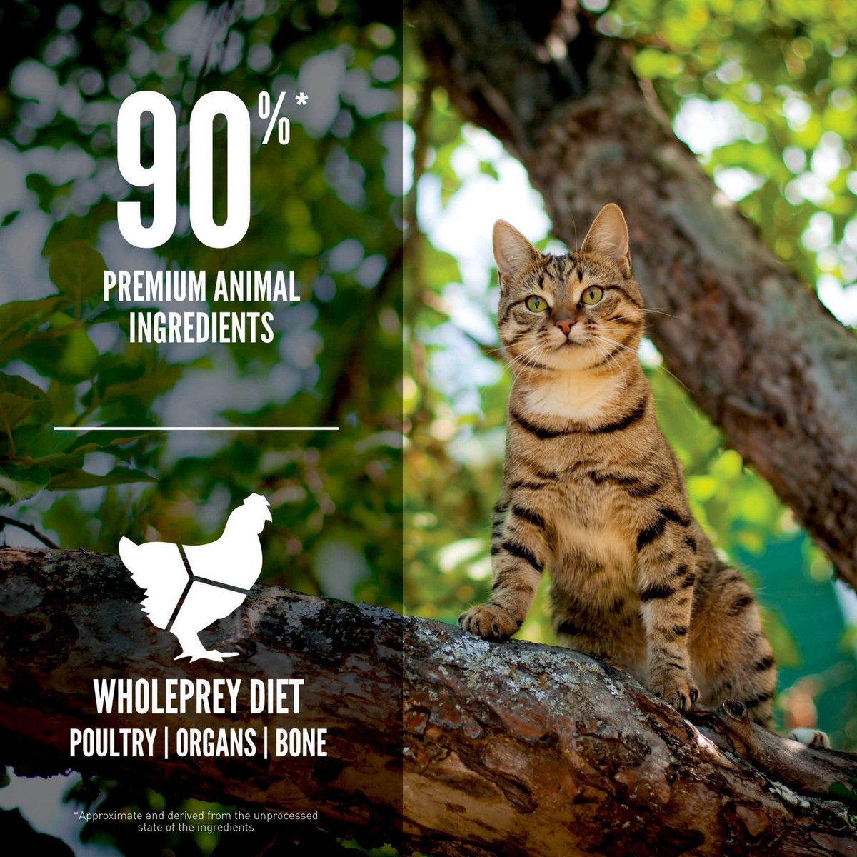 Orijen Guardian 8 Cat - Premium kattenbrokken met 90% vlees thumbnail 4