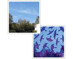 Dr. Kolbe - Birdsticker® - Transparant - Natuurlijke bescherming tegen vogelaanvaringen - 5 Stickers & plastic schraper