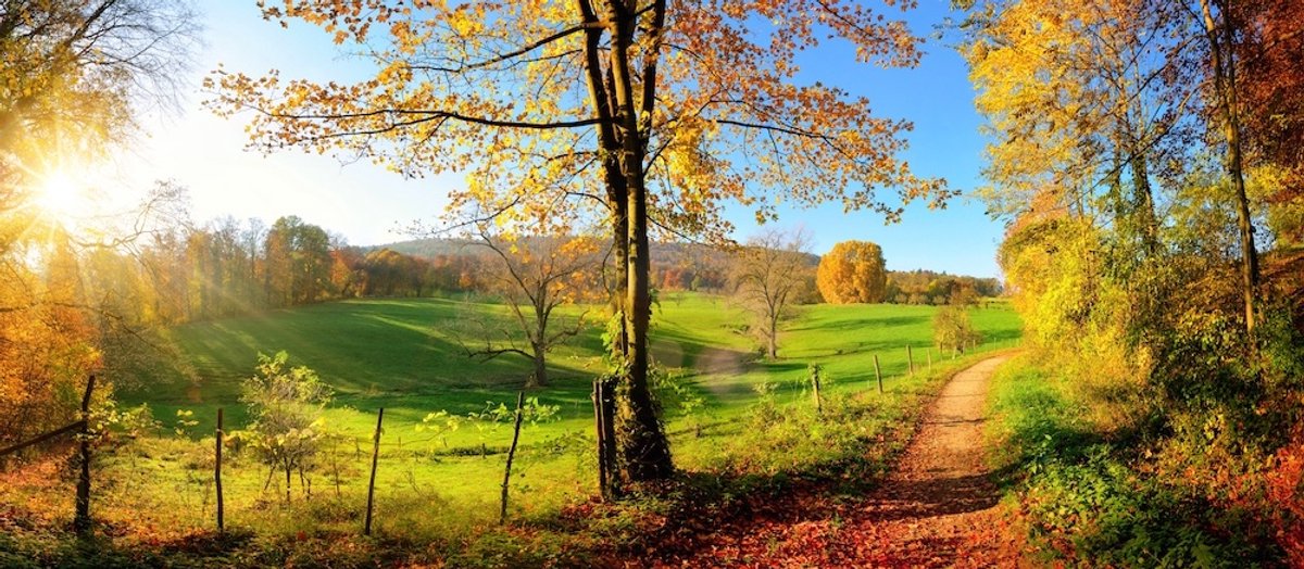 karo-art Schilderij - Herfst, panorama, groen,blauw ,2 maten , `premium Print Multikleur