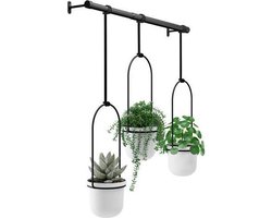 Umbra Triflora hangende bloempotten