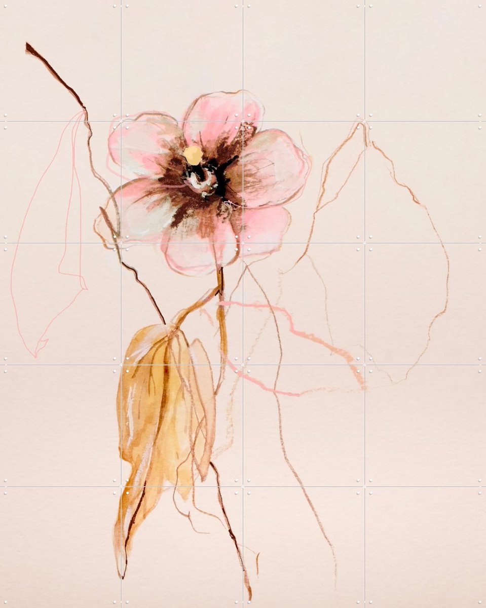 IXXI Flower Study Hibiscus Syriacus, Leigh Viner - 80 x 100 cm - Gratis ophangtool - Grote wanddecoratie en posters - Aquarel, Line art, Minimalisme