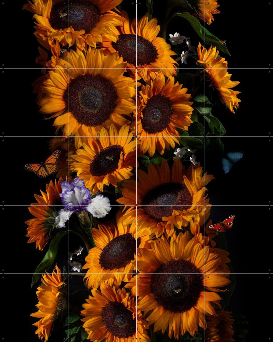 IXXI Sunflowers Van Gogh, Sander van Laar & Van Gogh 21st Century - 80 x 100 cm - Gratis ophangtool - Grote wanddecoratie en posters - Fotografie