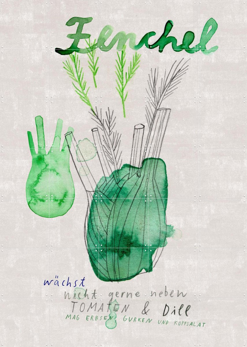 IXXI Fenchel, Signorinah - 100 x 140 cm - Gratis ophangtool - Grote wanddecoratie en posters - Aquarel, Line art, Speels, Illustraties, Keuken