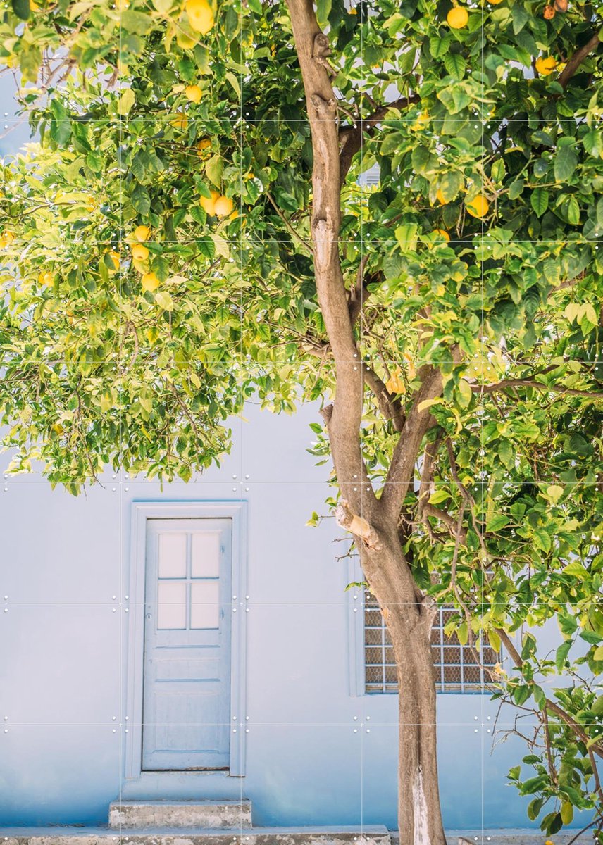 IXXI Blue House Lemon Tree, Pati Photography - 100 x 140 cm - Gratis ophangtool - Grote wanddecoratie en posters - Fotografie, Kleurrijk, Keuken
