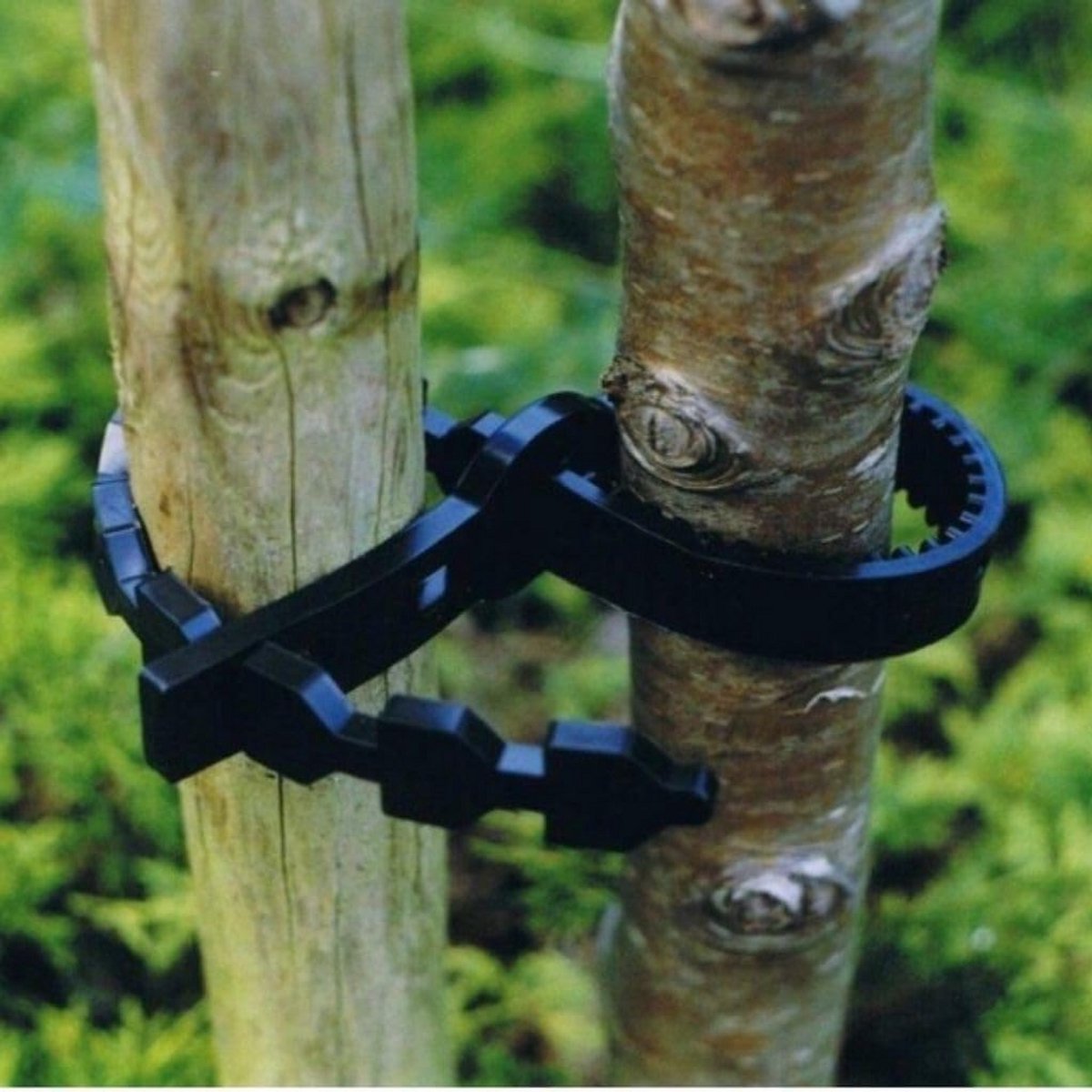 30 cm Boomstropdas Heavy Duty - Duurzame Bevestigingsband voor Bomen