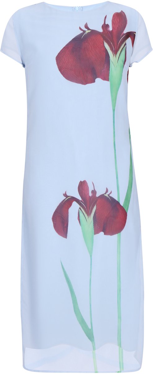 usha Dress
