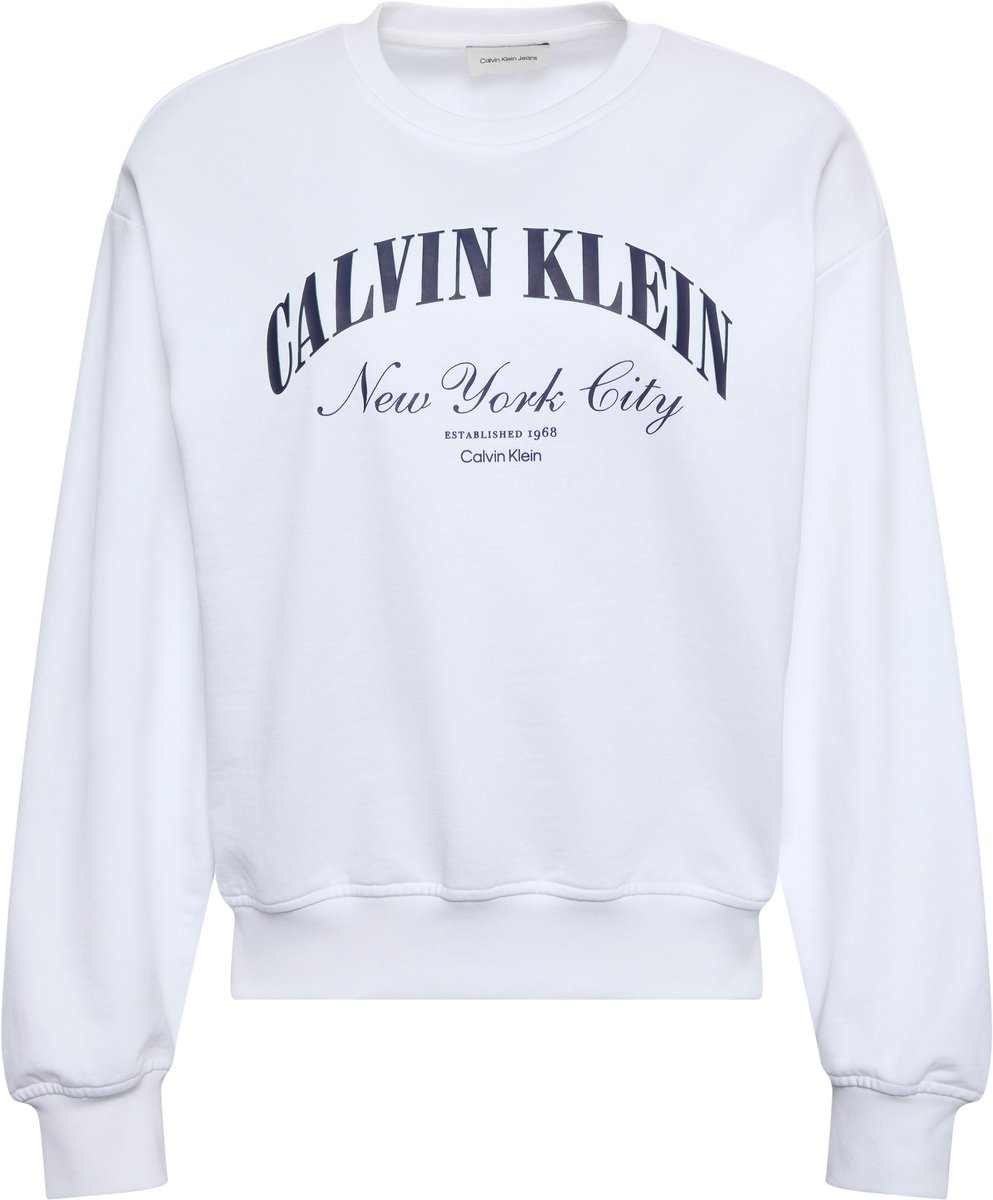 Calvin Klein Trui Logo Graphic Crewnec Lv047f818g Yaf Bright Dames Wit