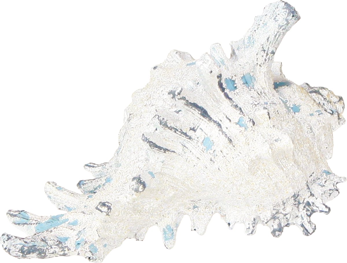Schelp Decoratie Zee Slak Kunstmatig Blauw-Wit 11.5/13cm 2 Stuks, 2 St
