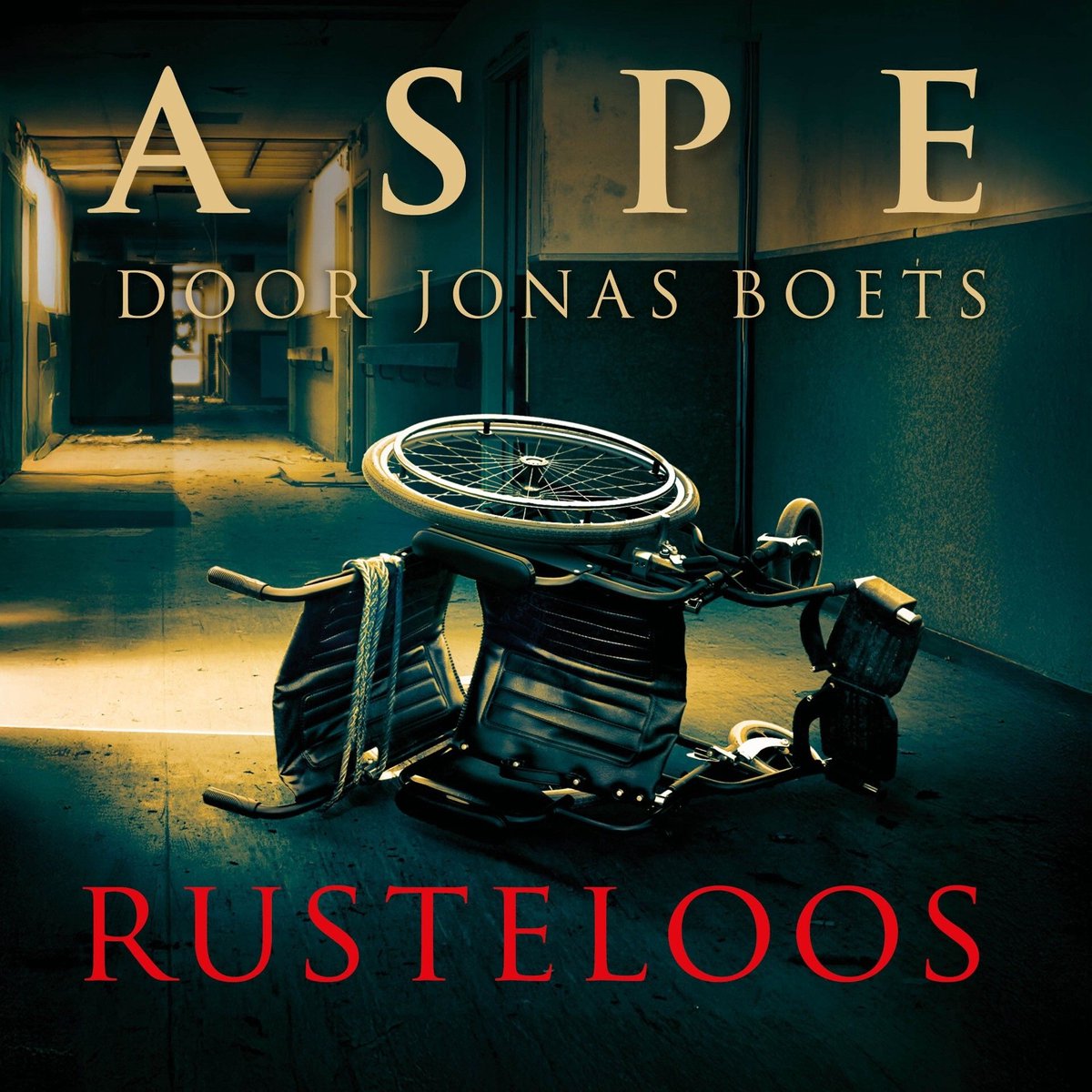 Omslag van Rusteloos