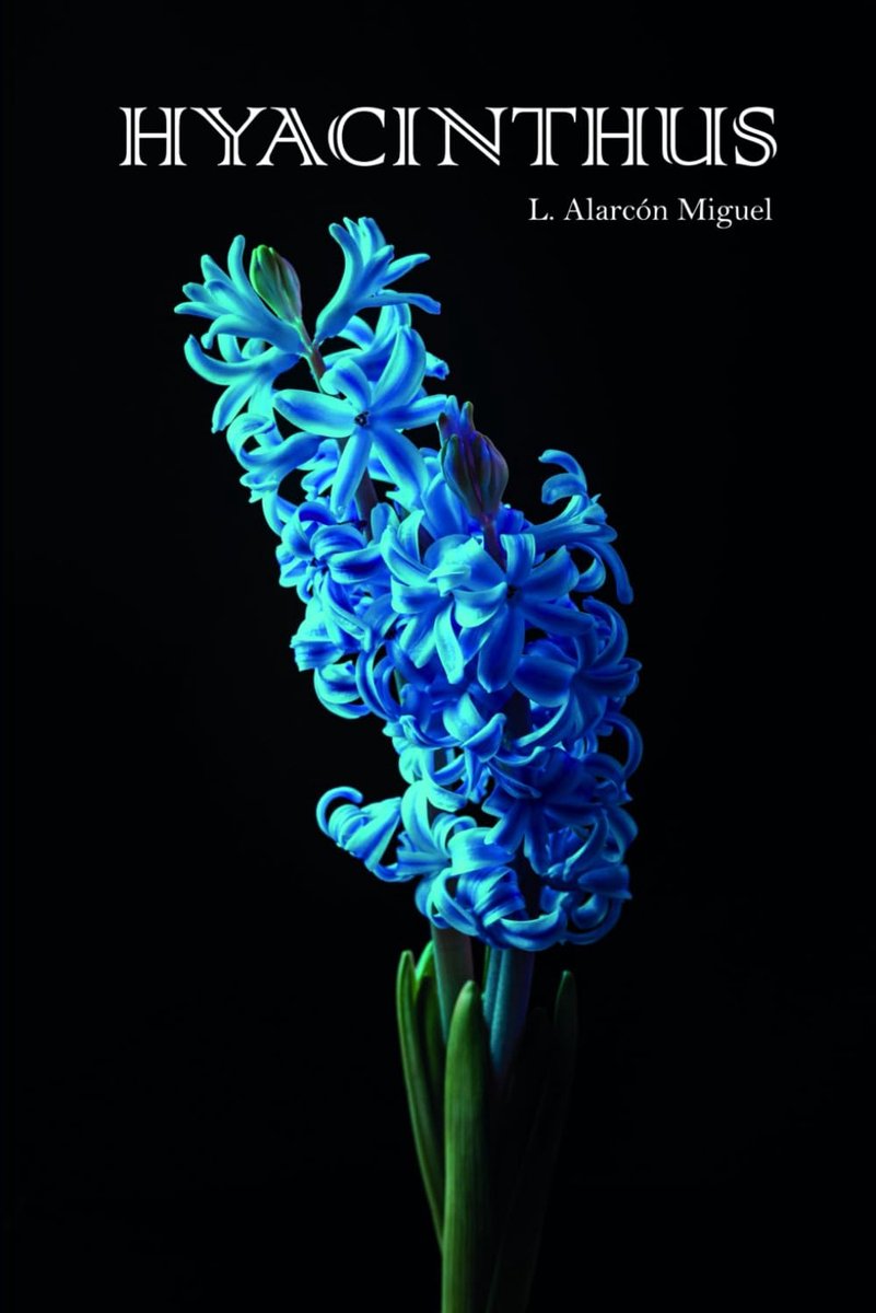Hyacinthus: Mythe en Schoonheid van Sparta
