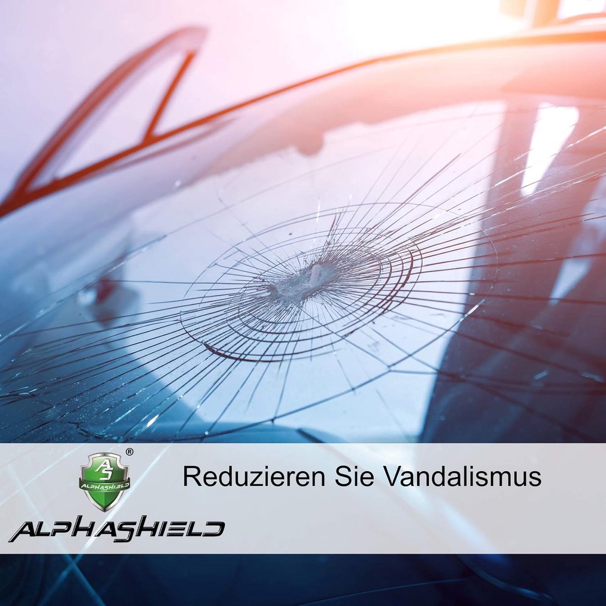 6 GPS Trackers voor Fiets, Motorfiets, Auto en Vrachtwagen - Antidiefstal Stickers