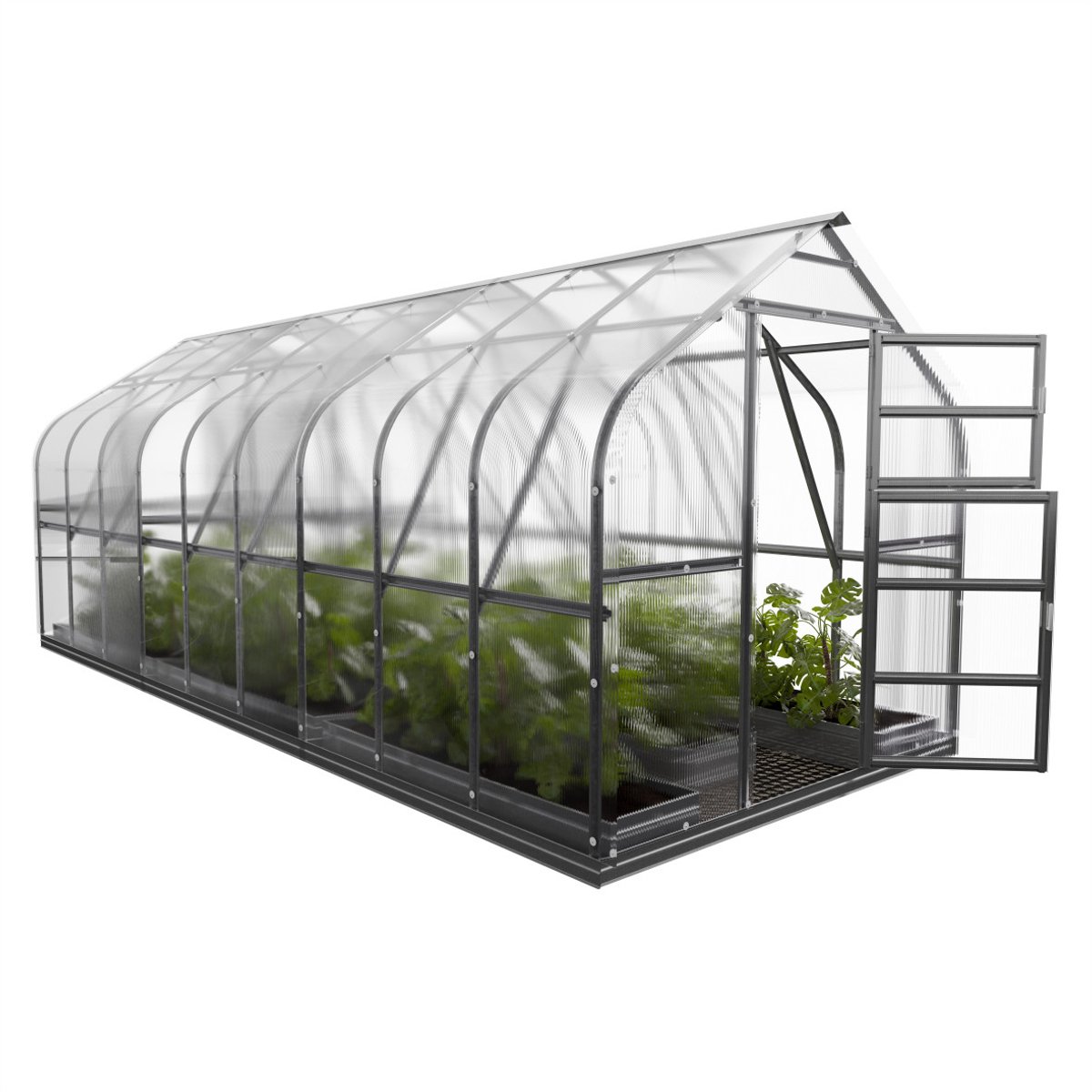 Klasika Serre polycarbonate 2,5x6m 15m² + 3 lucarnes automatiques