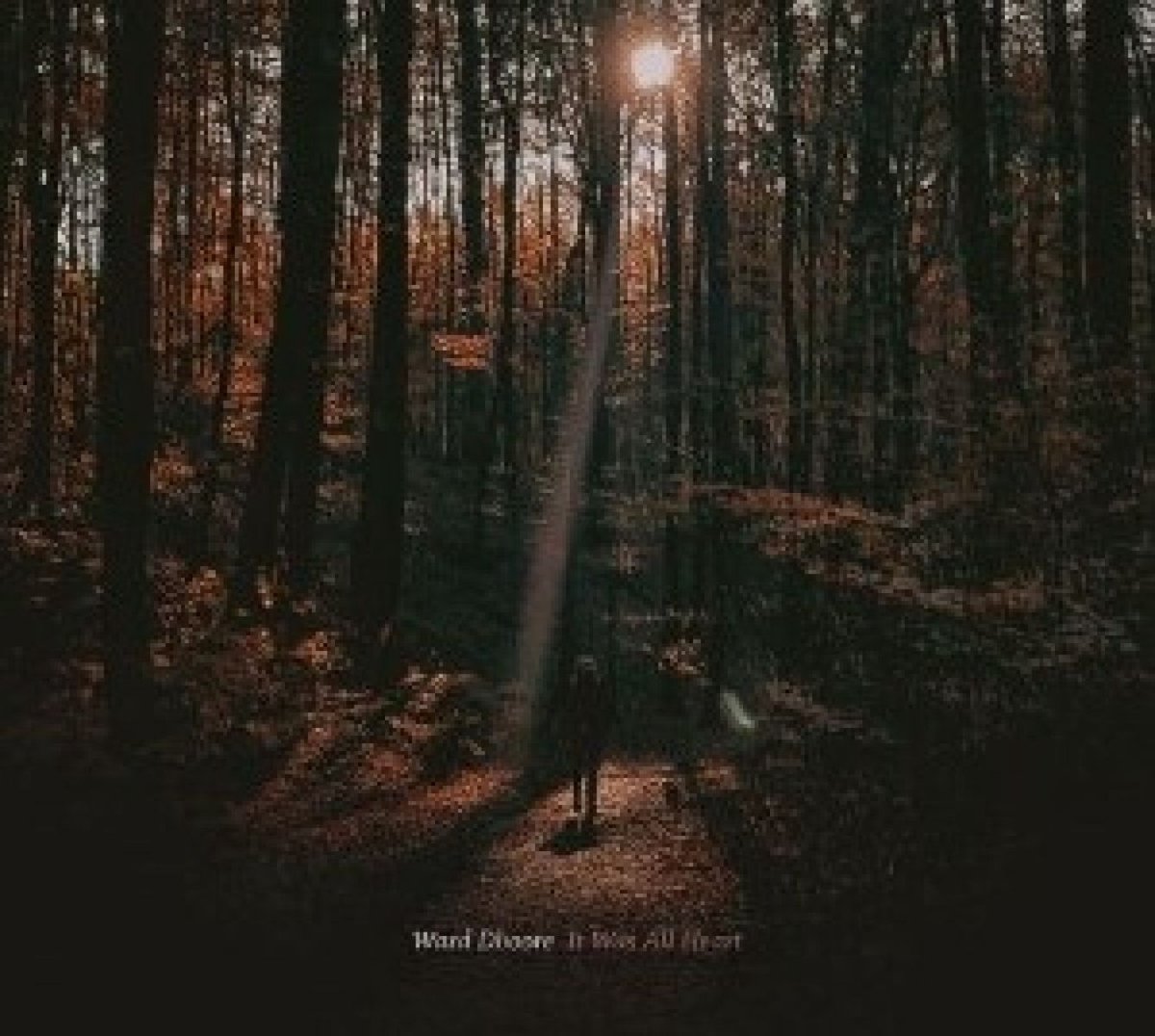 Ward Dhoore - It Was All Heart (LP)