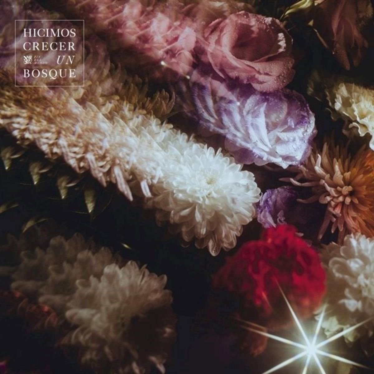 Fin Del Mundo - Hicimos Crecer Un Bosque (LP)