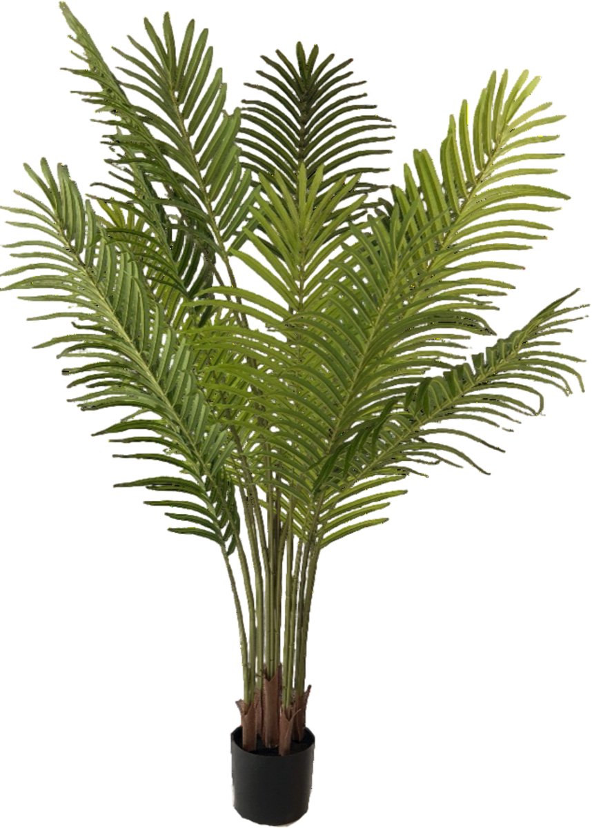 NeverLeafs Kunstpalm Phoenix - 160 cm