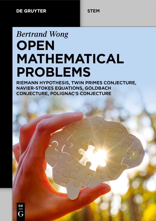 De Gruyter STEM- Open Mathematical Problems - cover