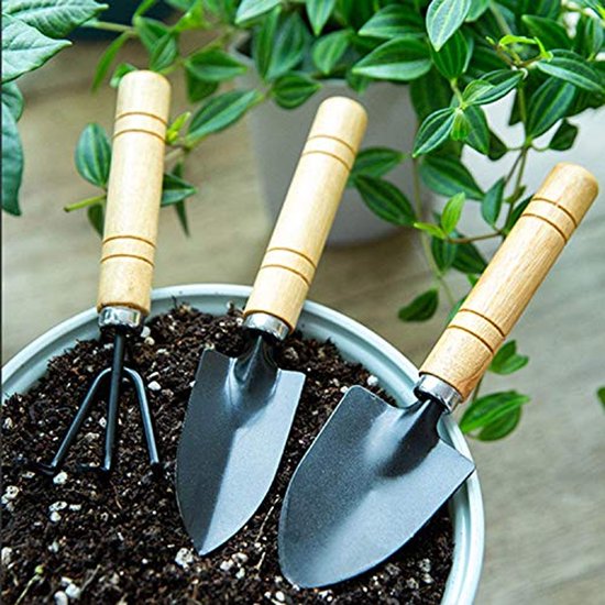 Mini Tuingereedschapsset - 3 Delen Handgereedschap voor Planten en Bonsai van MINI — afbeelding 2
