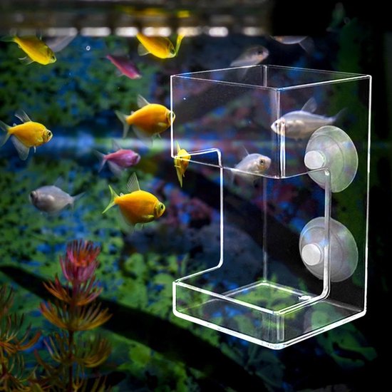 2-Stuks Aquarium Feeder - Drijvende Ring met Anti-Drift Feeder - Aquarium Feeder met Zuignap - Vierkante Feeder - Geschikt voor het Voeren van Schildpadden en Garnalen, Aquariumvoer - Transparant van Merkloos — afbeelding 3