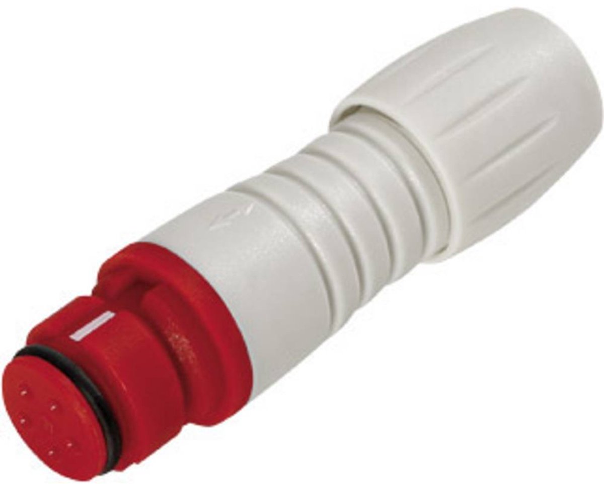 binder 99 9210 450 04 Ronde subminiatuurconnector Koppeling, recht Totaal aantal polen: 4 1 stuk(s)
