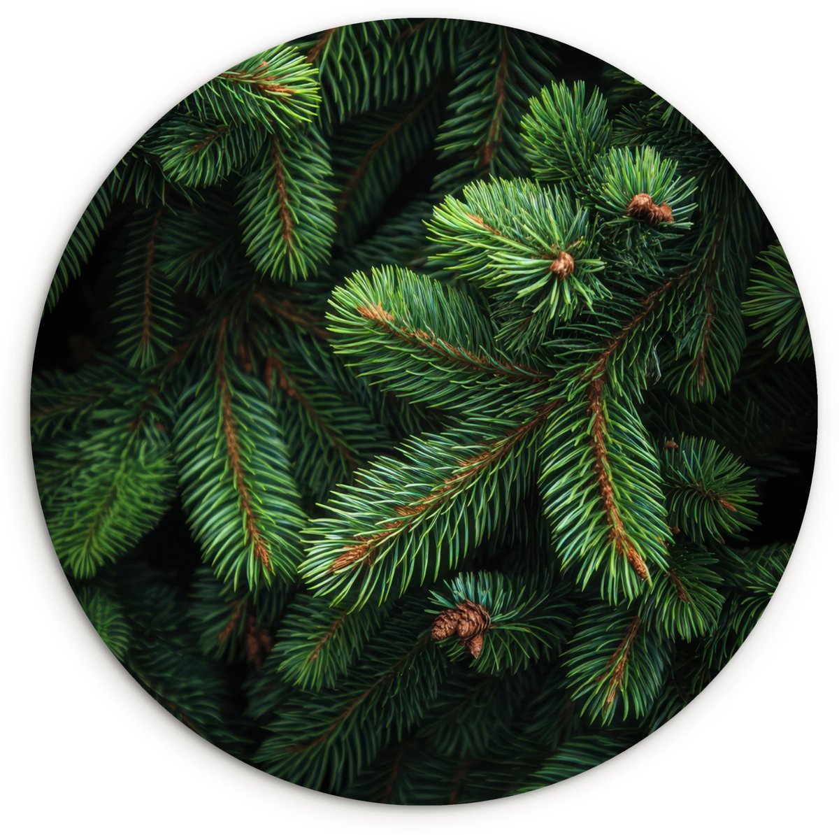 WallCircle Wandcirkel 140x140 cm - Muurcirkel Sparrentakken - Knoppen - Naalden - Groen - Muurdecoratie woonkamer - Wanddecoratie slaapkamer - Kamer decoratie accessoires - Ronde schilderijen