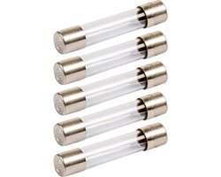 VLTG Glaszekering 5x20mm - 500mA - T(traag) - Beschermt tegen overbelasting - 5 stuks